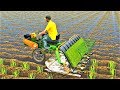 Развивающие и обучающие мультики - Как сажают рис! Рисовая Ферма| Мультфильмы про #машинки