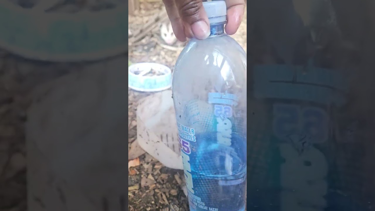 Сегодня рано утром занимаюсь вот этим делом 😂