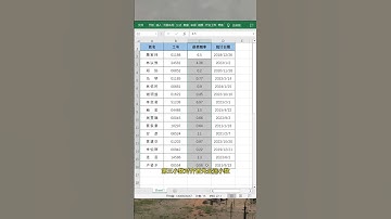 对齐4种数据#EXCEL #办公技巧 #职场 #每天学习一点点 #文员  #办公技巧 #excel #职场