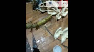 Durian Jatuh || Makan Durian Sultan #shorts