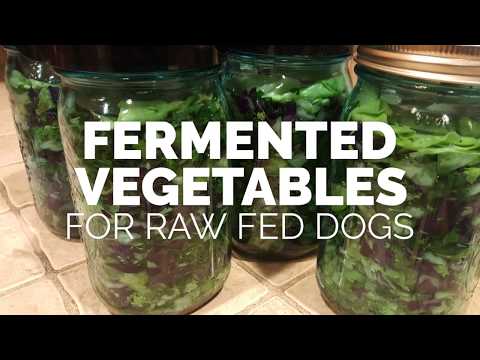 fermented-vegetables-for-raw-fed-dogs