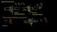 Spektroskopinin Kimyaya Uygulanması ile ilgili video