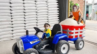 Download Lagu Buem Drives Supercar Taking CUTIS to Buy Rice | Funny Monkey Video MP3