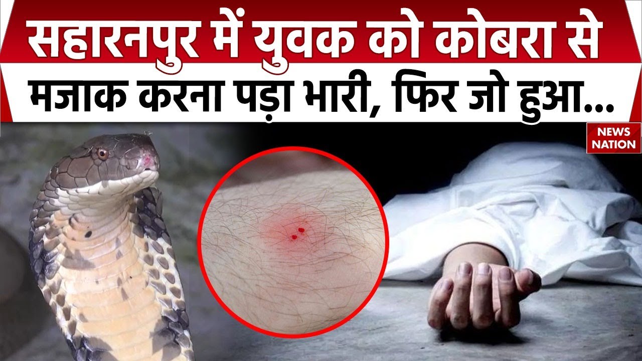 कोबरा स्टिंग में मौत? जांच तेज़