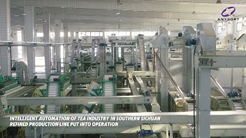 Tea Industry in Southern Sichuan, China.Intelligent automation production line put into production.