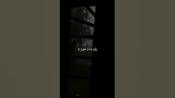 سورة النور بصوت القارئ ماهر المعيقلي