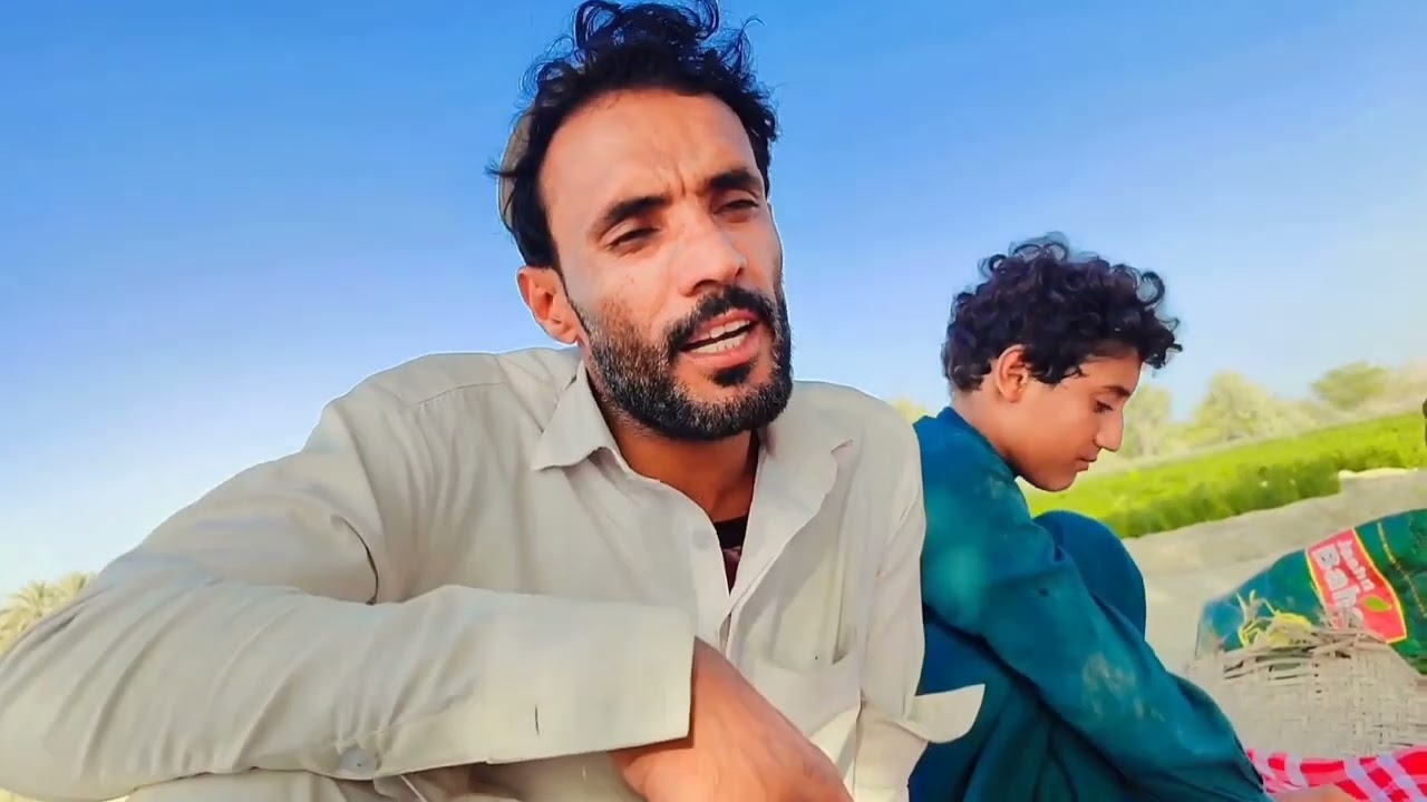 بلوچی تامر سہ دوست