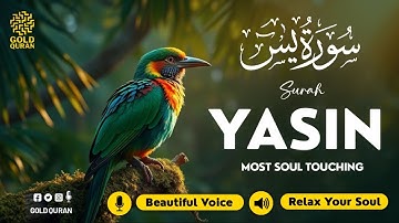 Relaxing Surah Yasin for Sleep, Depression, & Anxiety ✦ Yaseen سورة يس ✦ Relaxing Quran ✦ Alaa Aqel