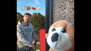 Can a window stop wrecking Ball #mrbeast #mrbeastshorts