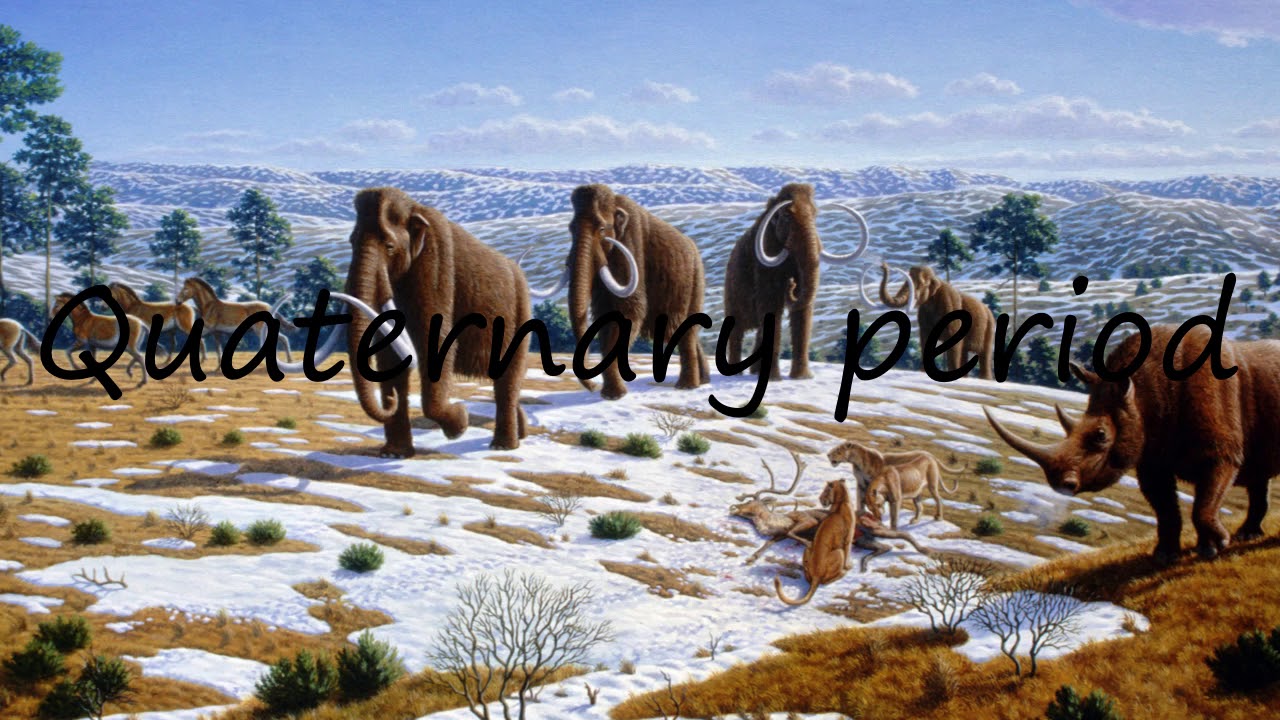 How to Pronounce Quaternary period? YouTube