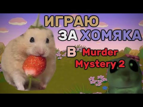 Видео: ༄ внимание! опасный hamster в мм2!!! |охотимся на мини-игроков😈| 彡