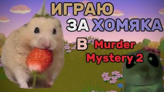 ༄ внимание! опасный hamster в мм2!!! |охотимся на мини-игроков😈| 彡