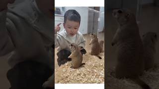 Little children and squirrels playing #comedyshorts #intertenment #comedy #funny