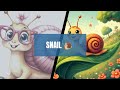 Let's draw a cute colourful snail easy drawing for beginners