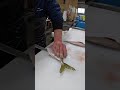 アジ捌く