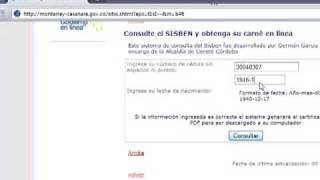 tutorial sisben individual screenshot 3