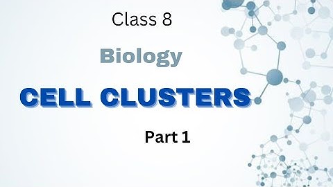 8th science (biology )chapter 2 cell cluster study video