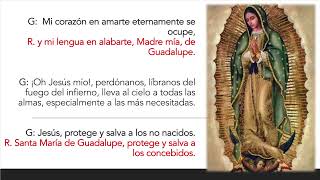 Misterios Dolorosos - Rezo de los 46 Rosarios con el Padre Roberto Figueroa