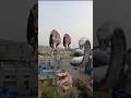 Big Anaconda vs dinosaur T-Rex fight scene#dinosaur#anaconda#jurassicworld#shorts#youtubeshorts