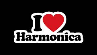 Charlie Musselwhite - She May Be Your Woman - Ace of Harps