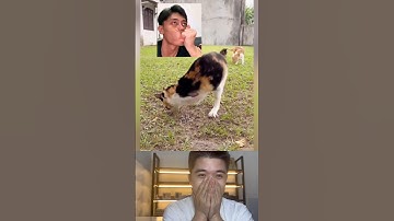 Đình Hiền Reaction: Hãy cảm thông đừng cười. #dinhhien