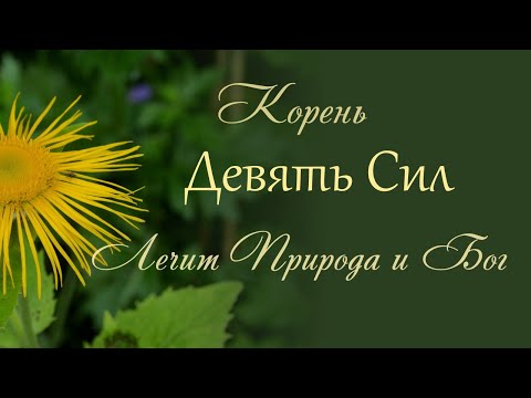 Корень от недугов и колдовских чар ۞ Девять Сил