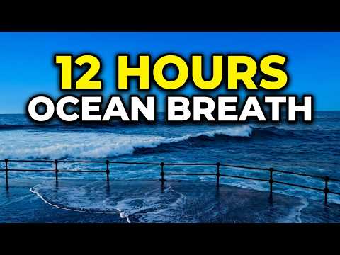 🌊 Voice of the Sea: 12 HOURS Ocean Breath (15 min Visual & Black Screen)