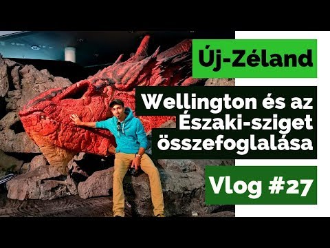 Videó: Az új-zélandi Sugárhajtású Síelők Egy Delfinek Hüvelyét üldözték, és Felháborodást Váltottak Ki