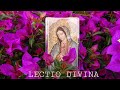 LECTIO DIVINA RADIO MARIA GUATEMALA 30 OCTUBRE 2022