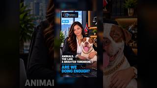 You See Someone Abusing an Animal. What Can You Actually Do