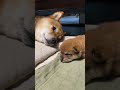 優しい空パパ