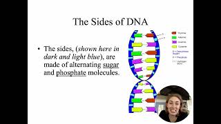 Dna Ppt