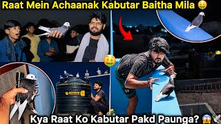 Raat Ko Chath Pr Kabutar Pakdne Gye 🤑 || Pigeon Catching Mission At Night 🌛🕊️