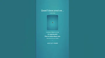 Quand L Oiseau Prend Son Envol Rap Français Engagé Et Mélancolique 