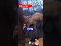 Is this allowed? whitch doctors using hyenas to cure demon possed girl! #shortsviral #crazy #shorts