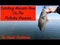 Catching Monster Largemouth Bass On The Potholes Resevouir Washington State March 2021