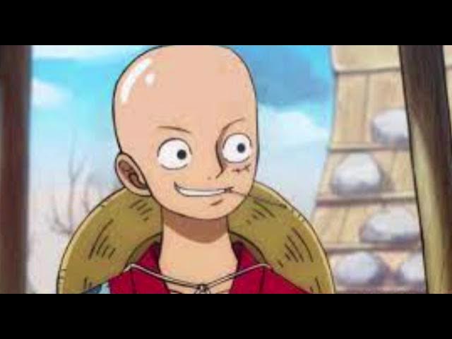 Bald luffy  Luffy, Personagens de anime, Meme one piece