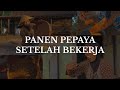 Download Lagu Daily Vlog Ibu Rumah Tangga di Desa ep.2