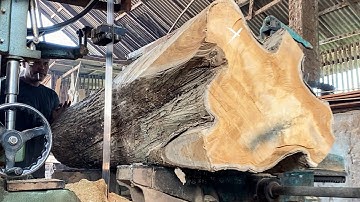 Sawing super, large and very luxurious teak wood
