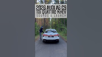 Alone in the forest with 2026 Audi A6 Sedan C9