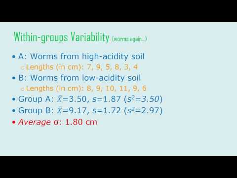 Video: Hva er gruppevariabilitet?