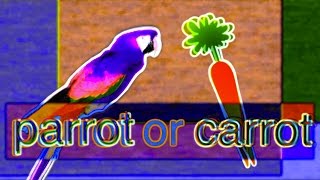 Parrot Or Carrot