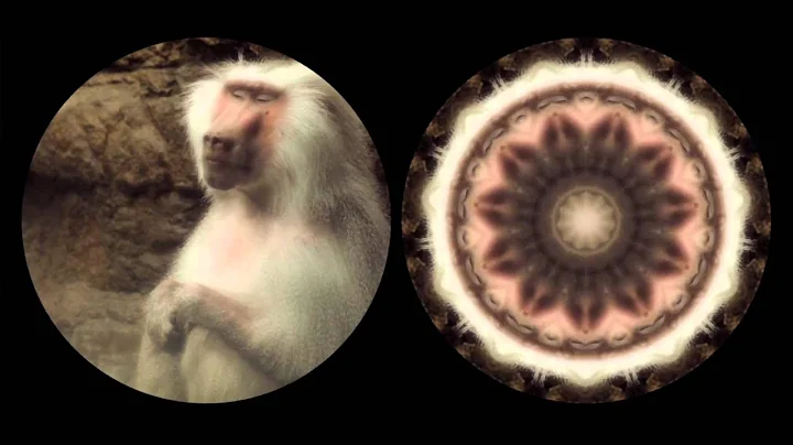 Midnight Moment May 2014: Leslie Thornton, Binocul...