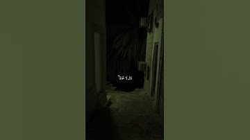 {قَالَ لَا تَخَافَآ ۖ إِنَّنِى مَعَكُمَآ أَسْمَعُ وَأَرَىٰ} القارئ محمد ديبيروف سورة طه