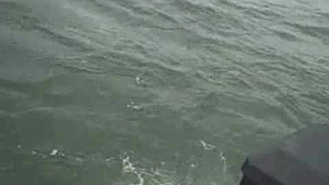 Jason Kenagy catching Vancouver salmon - Aug 29 2008