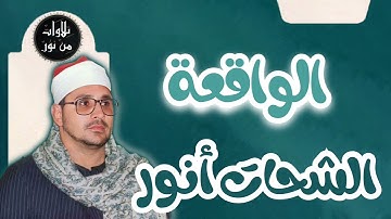 الشحات أنور - سورة الواقعة (مُرتّل) - Ash-Shahat Anwar