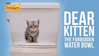 Dear Kitten: The Forbidden Water Bowl by Purina Friskies 3,205,598 views 8 years ago 1 minute, 43 seconds