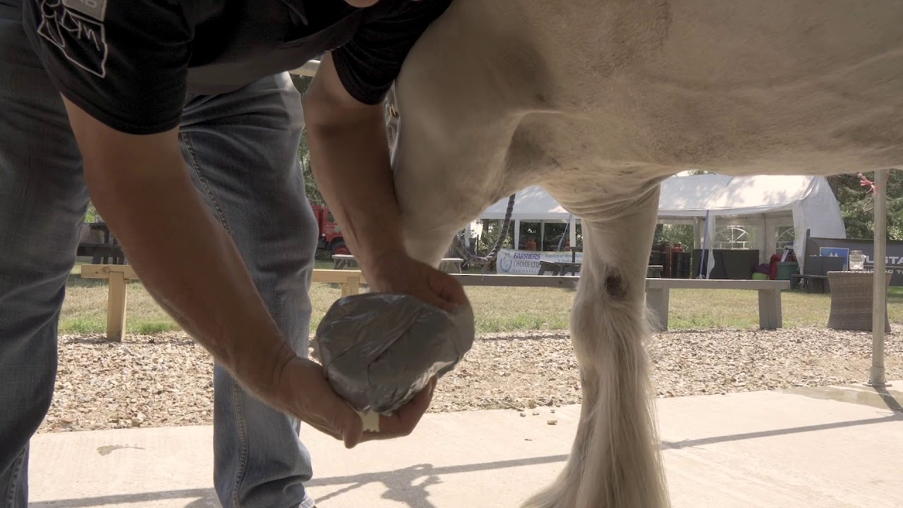 Farrier Hacks, the diaper hack