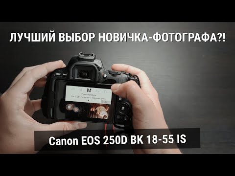 Canon 250D в 2021 - Лучший Фотоаппарат новичка?!