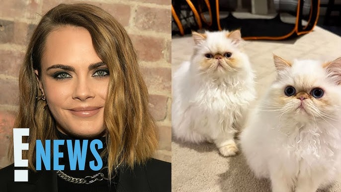 Cara Delevingne S House Burns In Fire Supermodel Gives Update On Her Pets E News